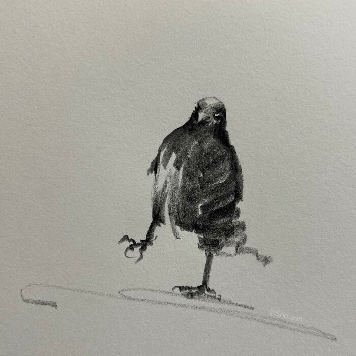 Animal drawing with a few strokes, showcasing personality in a minimalistic style.