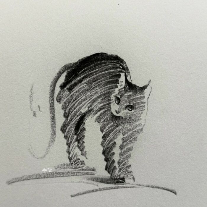 Sketch of a cat with few strokes, full of personality, showcasing the artist's unique style in animal drawings.