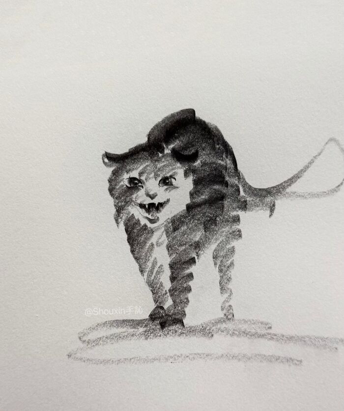 Drawing of a cat with expressive strokes, showcasing personality through minimalist art.