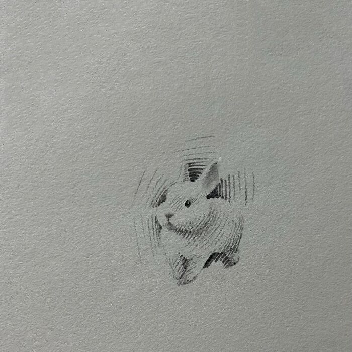 Drawing of a rabbit with minimal strokes, showcasing the personality of the animal.