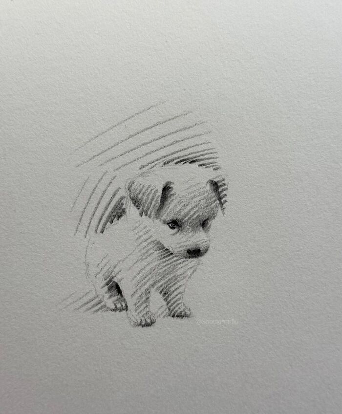 Sketch of a puppy drawn with minimal strokes, showcasing its personality.