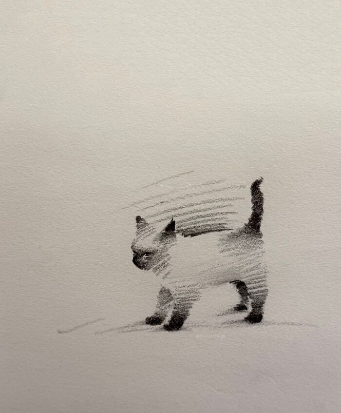 Minimalist drawing of a cat using few strokes, showcasing expressive animal personality.