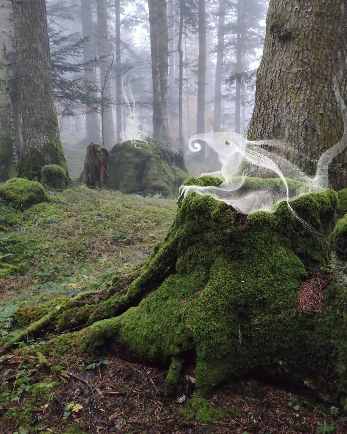 Fantastical creatures sketched in a mossy forest setting, showcasing an artistic intervention by Vorja Sánchez.
