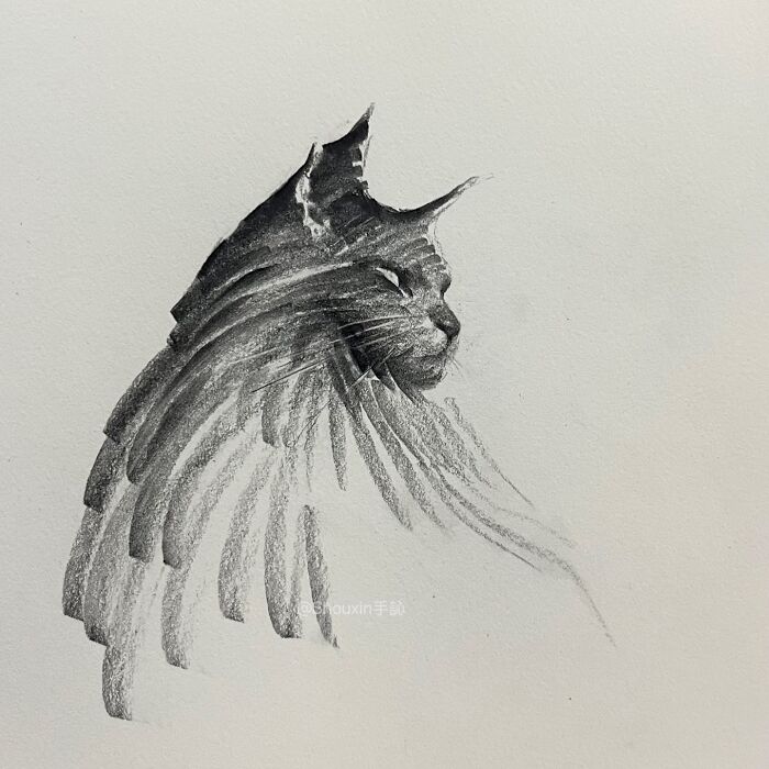 Drawing of a cat using few strokes, showcasing animal personality with minimal lines.