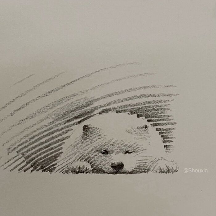 Minimalist animal drawing with few strokes, depicting a bear with distinct personality.