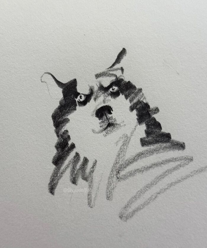 Simple animal drawing with few strokes, showing expressive personality.