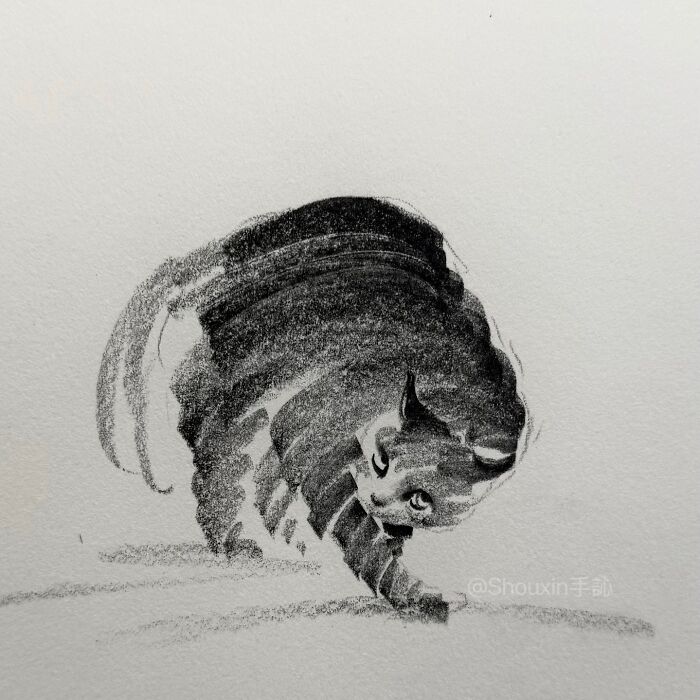 Minimalist drawing of a cat using few strokes, capturing its personality.