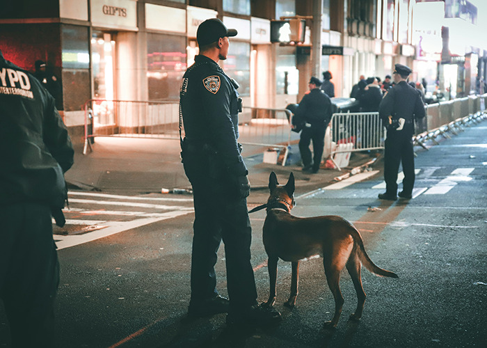Police officers with a police dog standing on a street at night, illustrating must-have life skills for safety and awareness.