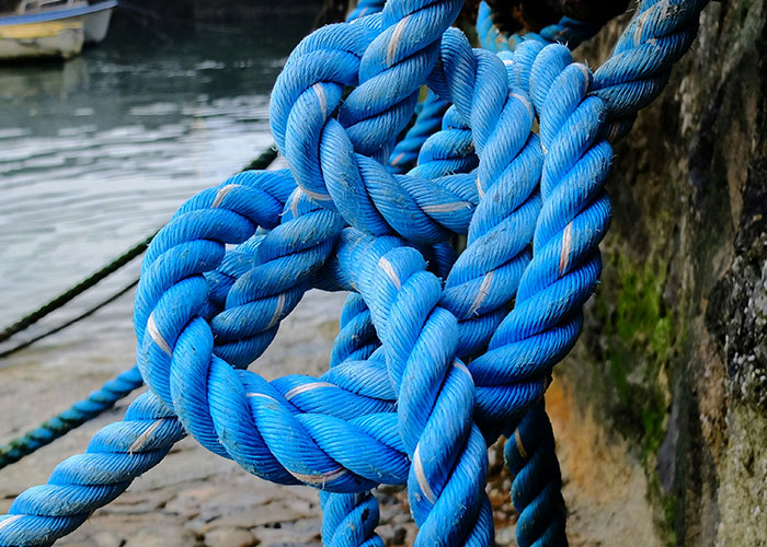 Close-up of thick blue rope tied in complex knots near water, symbolizing essential must-have life skills for internet users