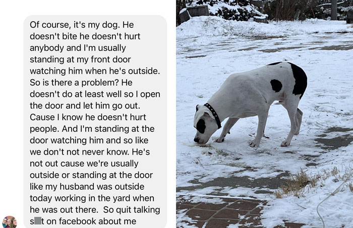 Dog outdoors in snowy yard with a message about neighbor disputes.