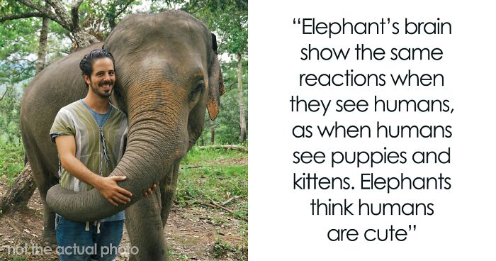 50 Cool And Interesting Facts People Learned About Animals