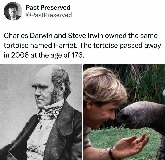 "Charles Darwin and Steve Irwin, connected by Harriet the tortoise, a historical fact shared by Past Preserved."