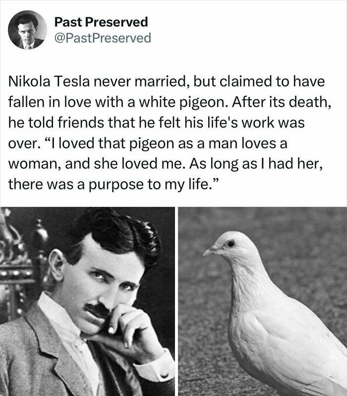 "Historical facts: black-and-white image of Tesla and a white pigeon side by side."
