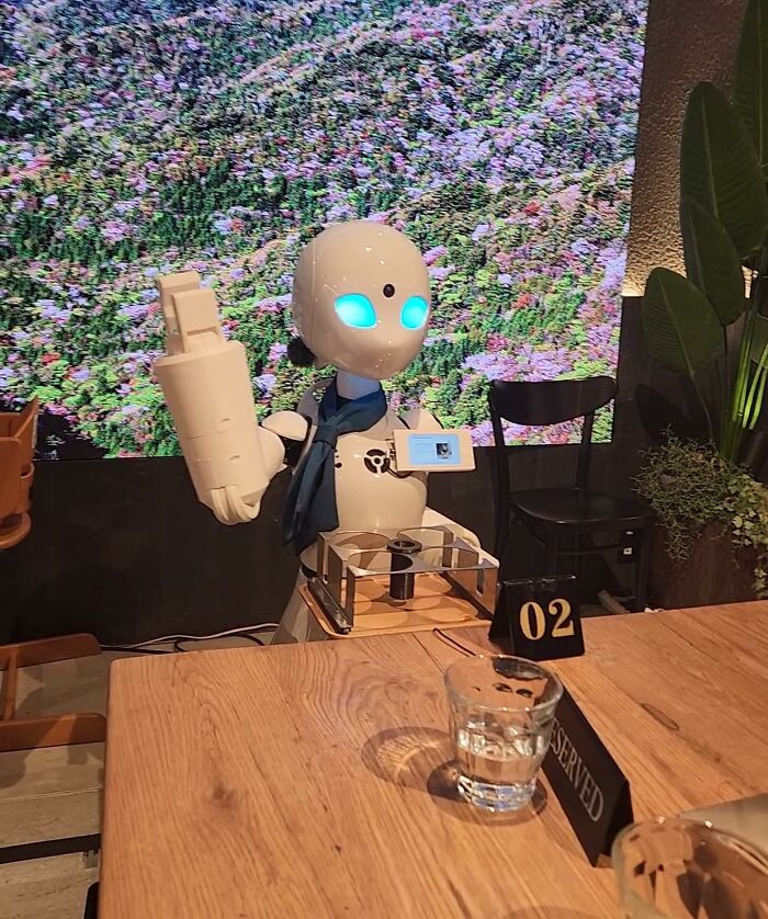 Robot waitress serving at a restaurant in Japan with floral screen in background, showcasing Interesting-Japan-Pics.