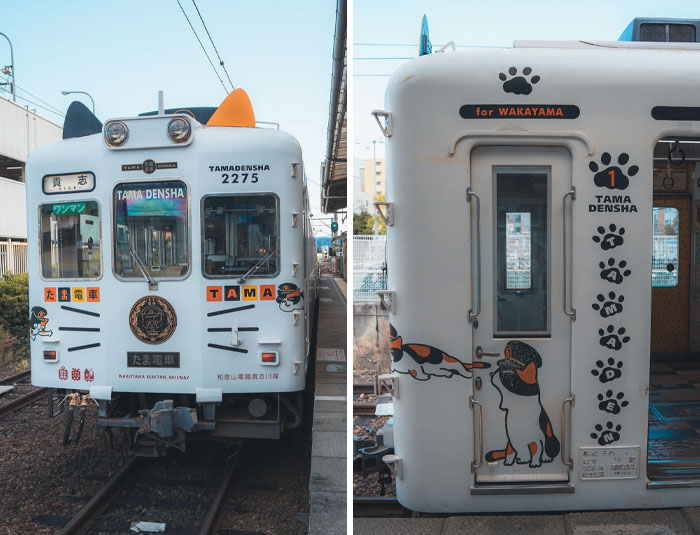 Decorated Japanese train with cat-themed designs at a station, showcasing Interesting Japan Pics.