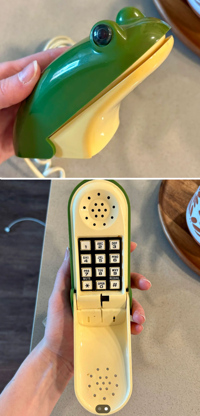 Unique frog-shaped phone with keypad, a lucky thrifting find displayed on a countertop.