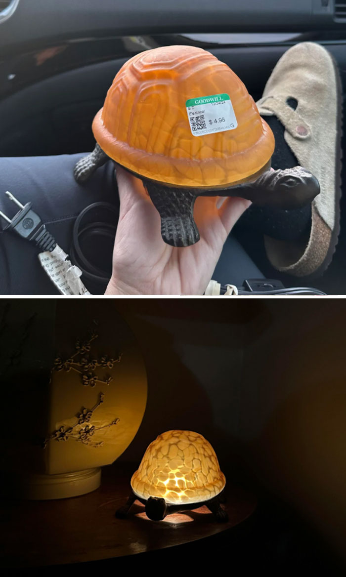 Turtle-shaped lamp found while thrifting, glowing softly on a table, purchased for $4.98 from Goodwill.