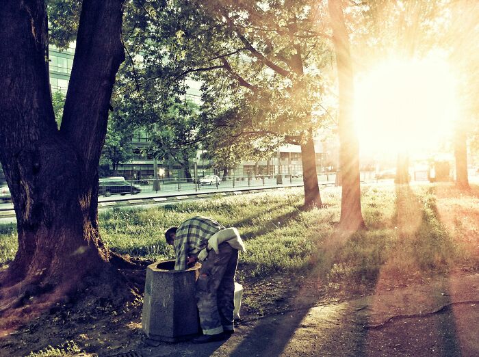 Person searching a garbage bin in a park at sunset, illustrating the difference between cheap and frugal actions.