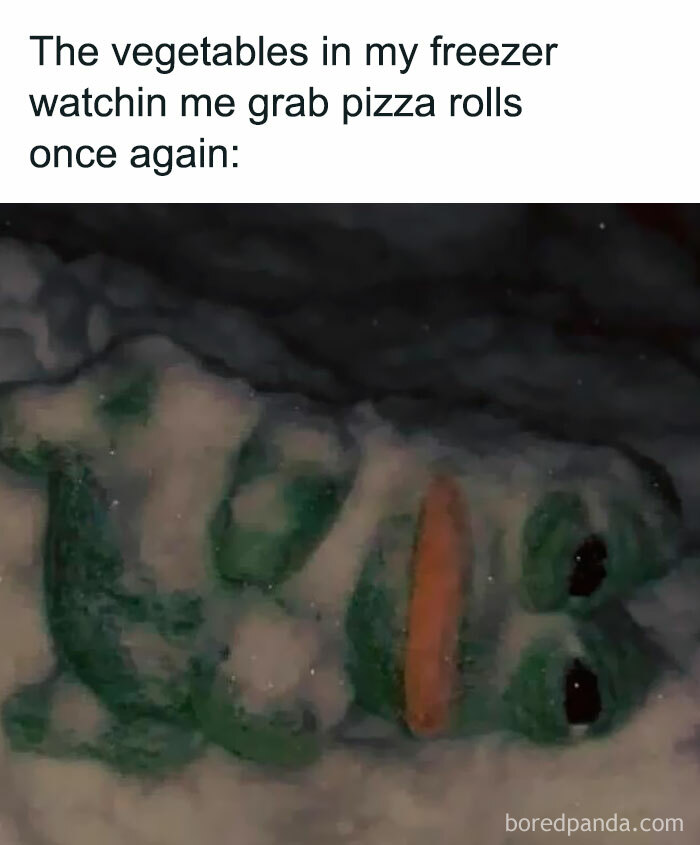 Meme of a stuffed frog covered in snow, humorously captioned about choosing pizza rolls over vegetables in freezer.