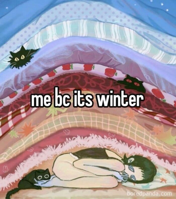 Woman bundled under colorful blankets with cats, illustrating the meme "me bc its winter."