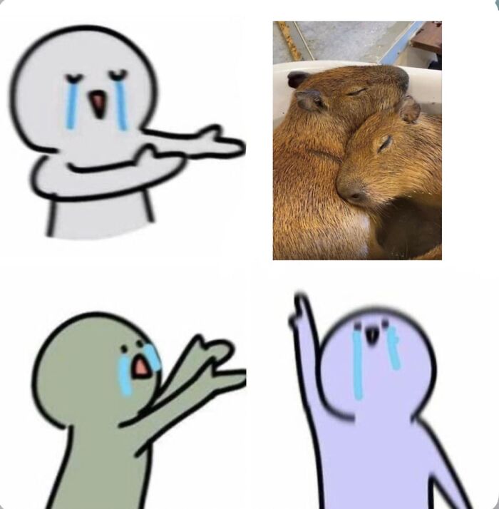 Cartoon figures crying with joy over cuddling capybaras, capturing relatable meme sentiment for women.