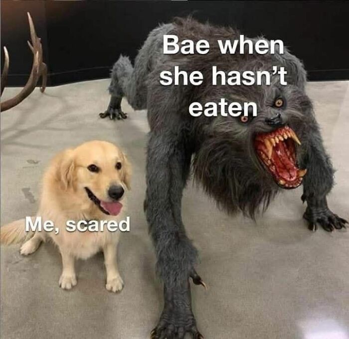 Dog and werewolf with meme text about hunger, capturing girly things humor.