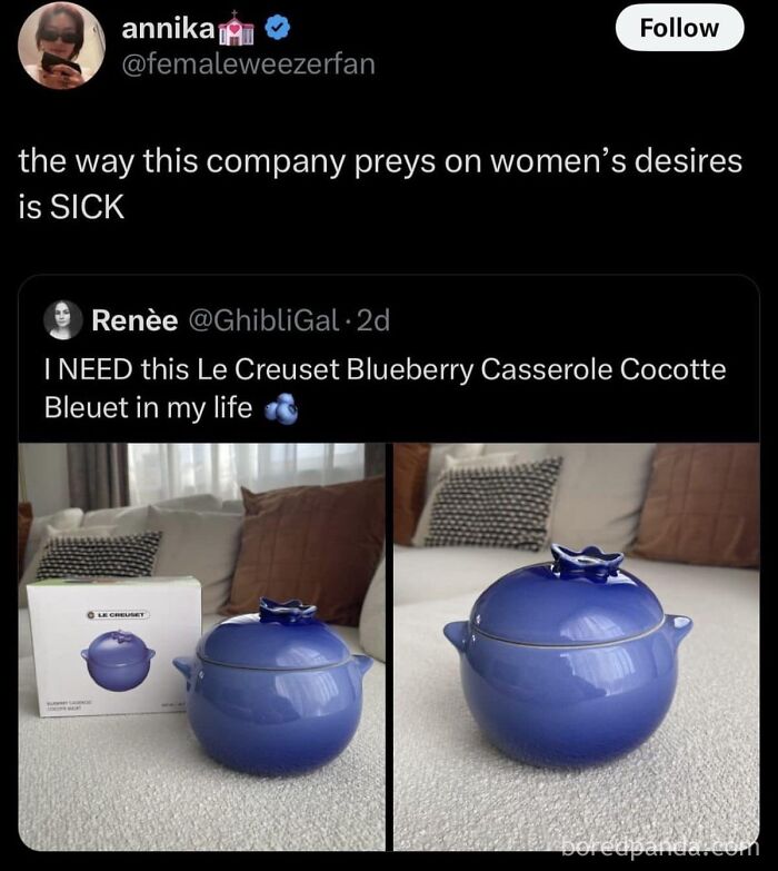 Blue Le Creuset casserole cocotte on a sofa; a relatable meme for women highlights consumer desires.