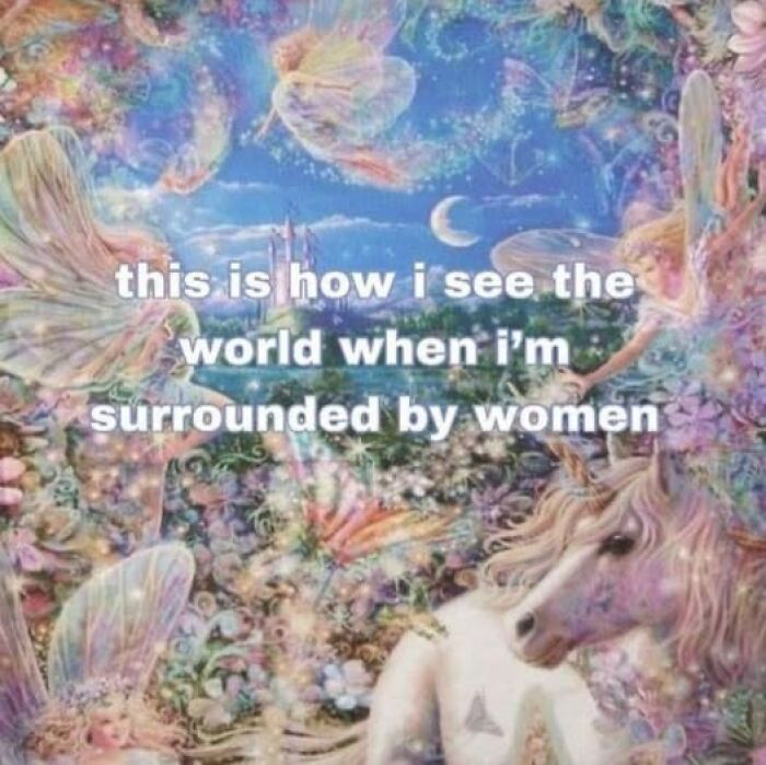 Fantasy scene with fairies and a unicorn, featuring the text "this is how I see the world when I’m surrounded by women."