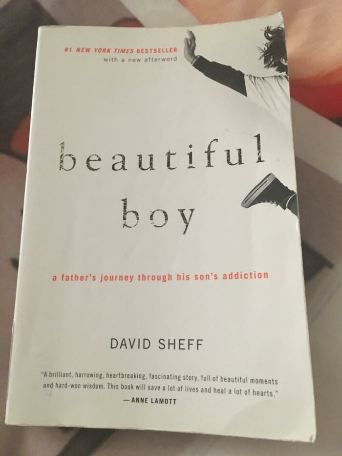"Beautiful Boy: A Father's Journey Through His Son's Addiction" By David Sheff