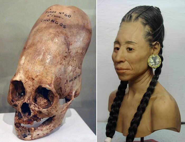 Ancient artefact featuring an elongated skull alongside a reconstructed bust of a woman with braids and earrings.