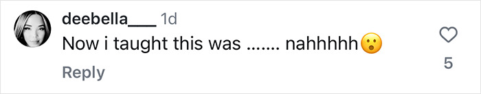 Instagram comment discussing resemblance, includes user profile picture and engagement likes. Instagram comment discussing resemblance, includes user profile picture and engagement likes.