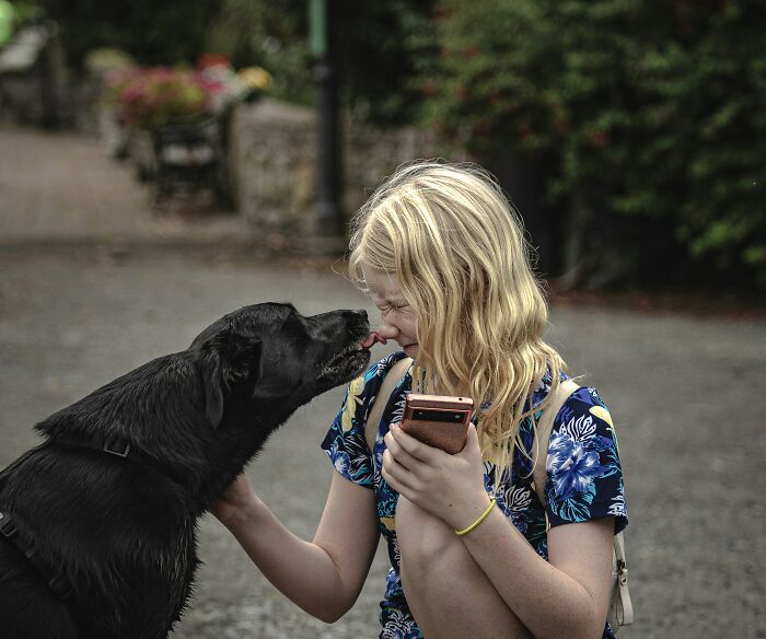 Girl with a phone being licked by a black dog, illustrating everyday habits considered by some as disgusting.