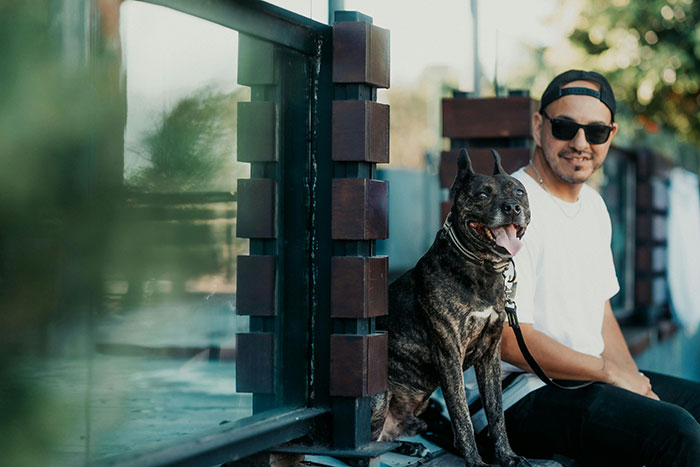 Guy Tells Fianc&eacute;e To Recover In Hotel Room After Surgery So As Not To Not Disturb His Dog