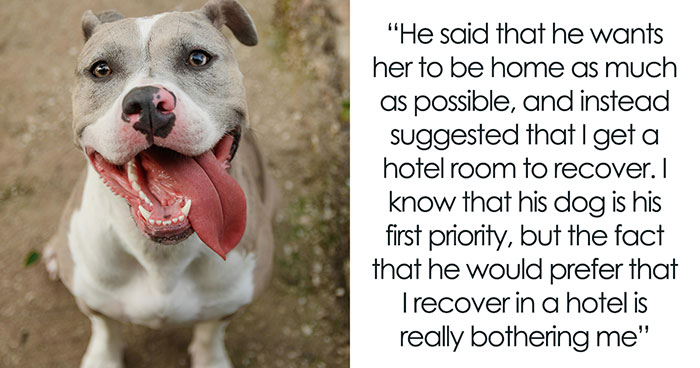 Guy Tells Fiancée To Recover In Hotel Room After Surgery So As Not To Not Disturb His Dog