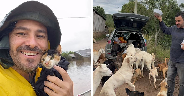 One Man Who Changed Countless Lives Of Stray Animals Over 25 Years