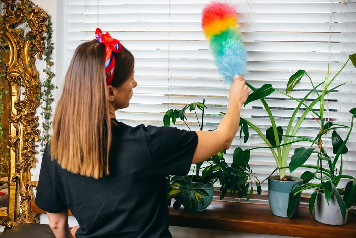 Woman dusting houseplants with a colorful duster, illustrating life’s everyday challenges.