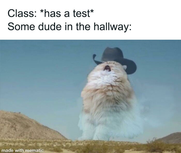 Giant fluffy dog with cowboy hat in desert setting humorously captures United States meme essence.