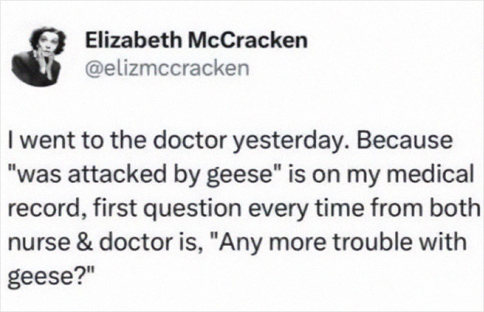 Tweet by Elizabeth McCracken humorously discussing a medical record note about being attacked by geese.