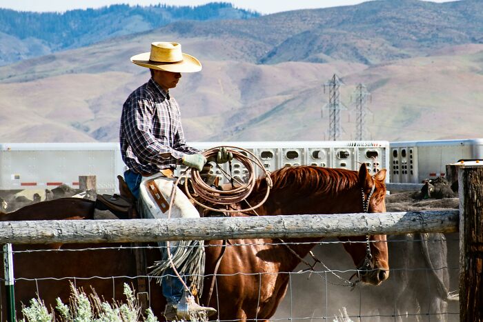 A cowboy on horseback holding a lasso, possibly for sentimental reasons, against a mountainous backdrop.