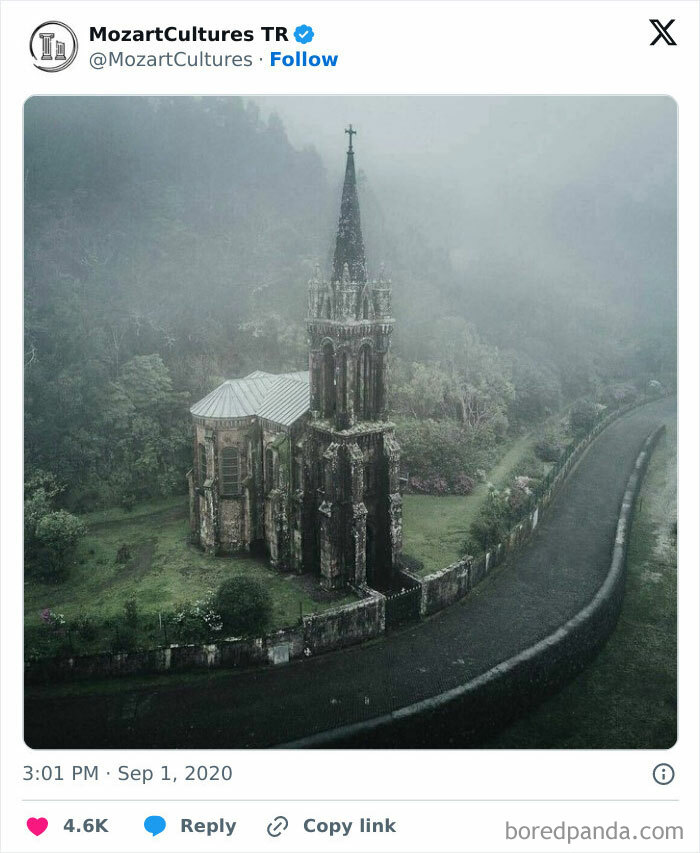 Ancient church overgrown with greenery, illustrating nature reclaiming civilization.