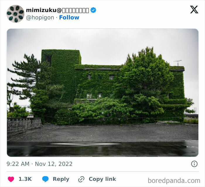 Building covered in greenery, showcasing nature reclaiming civilization.