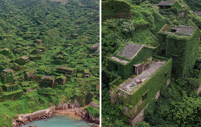 Nature reclaiming civilization: abandoned buildings overgrown with greenery.