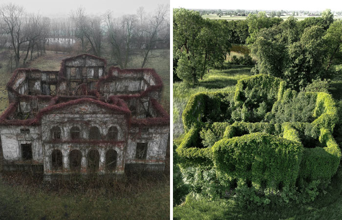 Nature reclaiming buildings, overgrown with greenery, illustrating civilization's decline amid lush landscapes.
