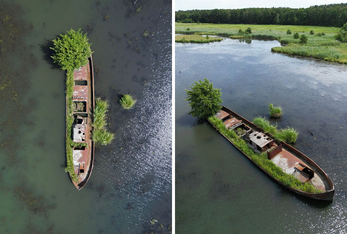 Nature reclaiming an abandoned ship with trees growing through its structure in a lush, green landscape.