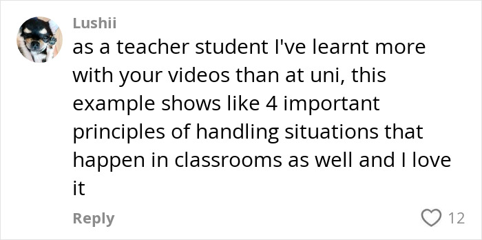 Comment highlighting positive impact of videos on teaching strategies, relevant to negative reinforcement insights.