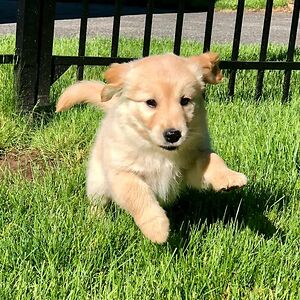 sharonkessel_1 avatar