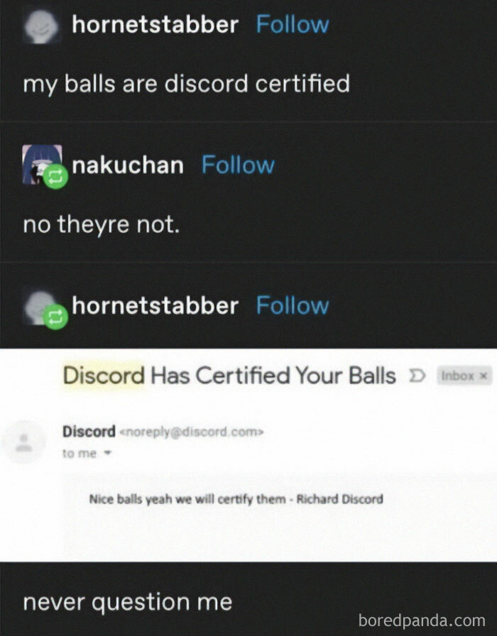 Tumblr conversation about Discord certification joke, highlighting courage over brains in humorous banter.