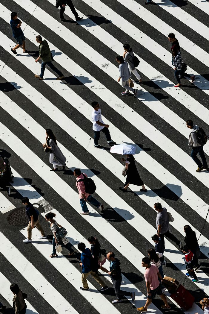 People crossing a busy zebra crossing, illustrating the unexpected challenges of adulthood.