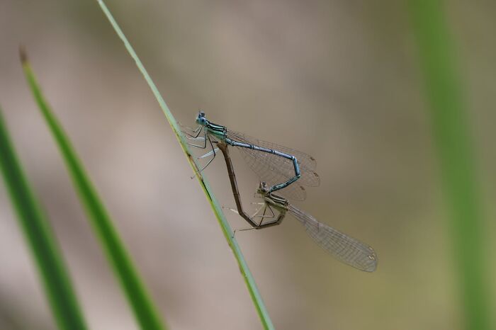 50 Cool And Interesting Facts People Learned About Animals