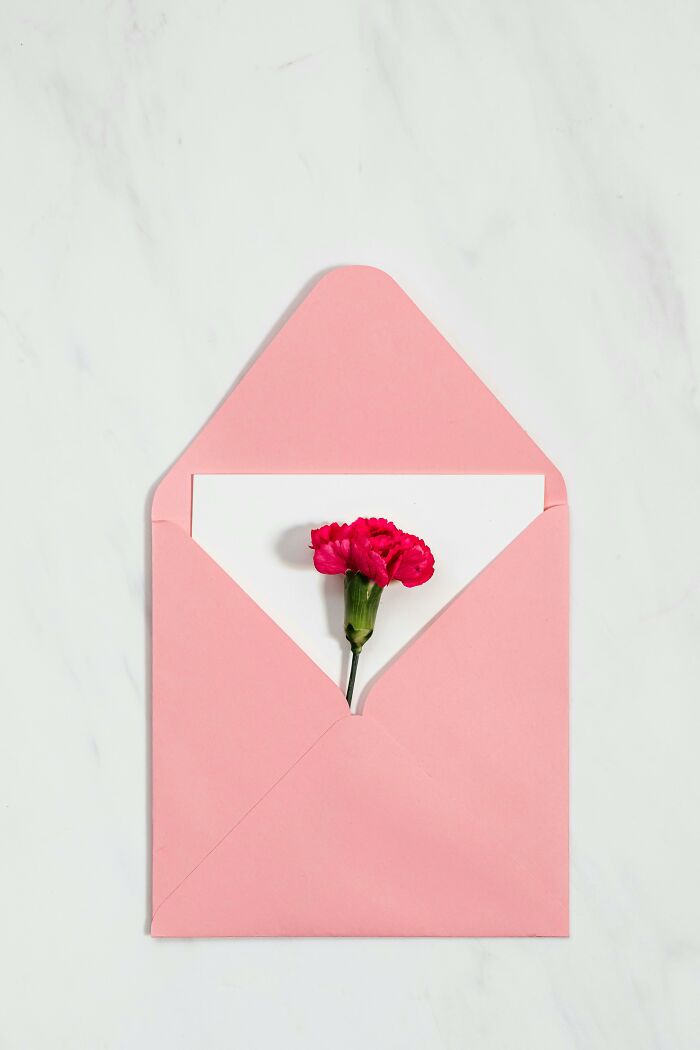 Pink envelope with a single red carnation, representing worst Valentine's Day gifts.